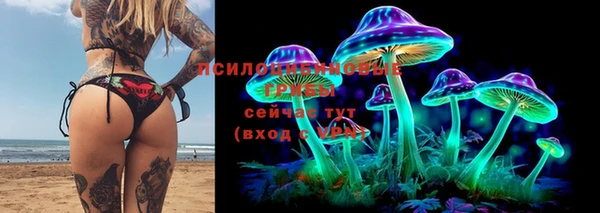 герыч Аркадак