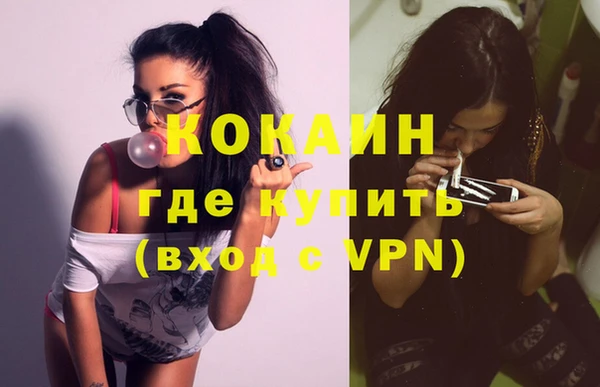 гашик Арсеньев