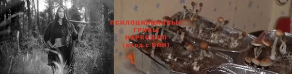 каннабис Алексеевка