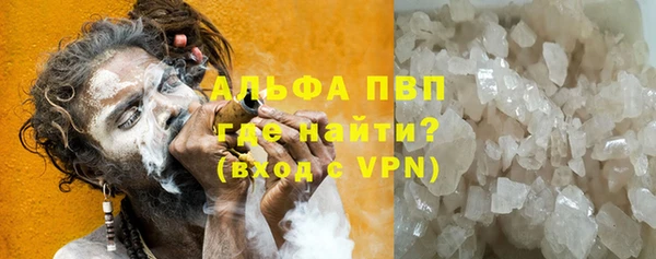 гашик Арсеньев