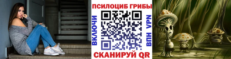 купить наркоту  Шадринск  Псилоцибиновые грибы MAGIC MUSHROOMS 