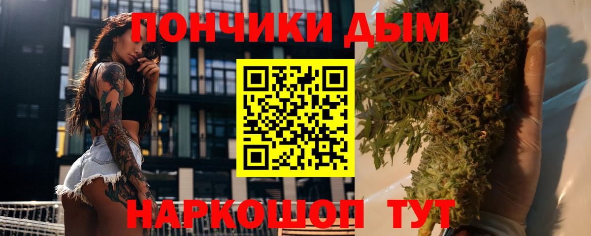 Конопля план  Вход с VPN  Конопля MAZAR  Конопля MAZAR  Канабис индика  Шадринск 